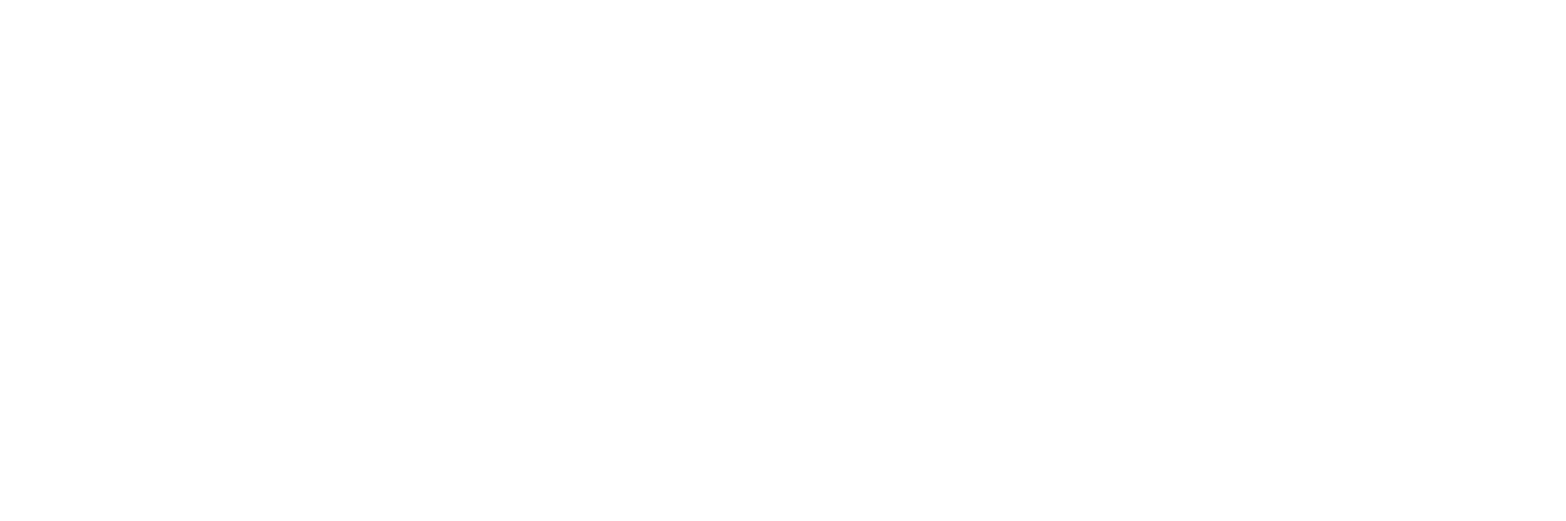The KINN
